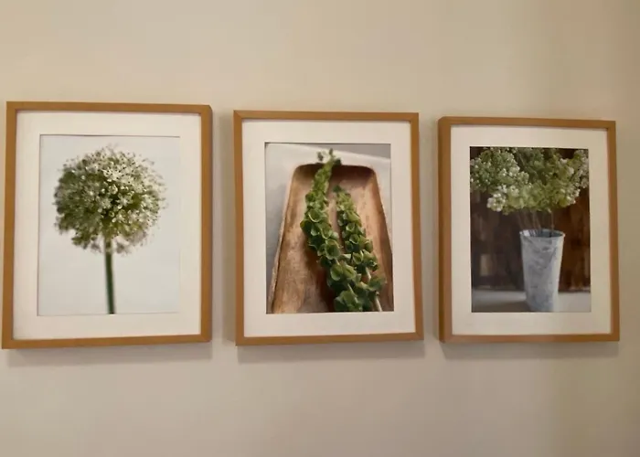 Klimatyczny Przy Rynku Lejlighed Wrocław