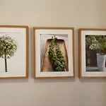 Klimatyczny Przy Rynku Apartment Wroclaw