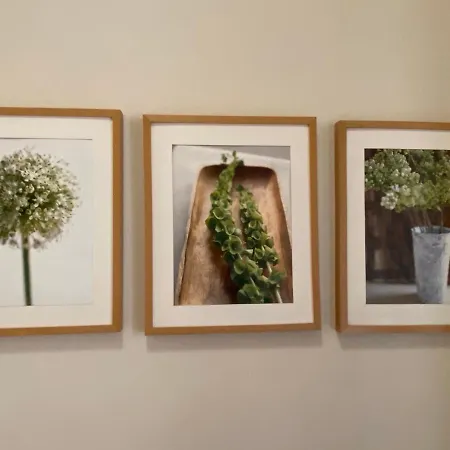 Klimatyczny Przy Rynku Apartmán Vratislav